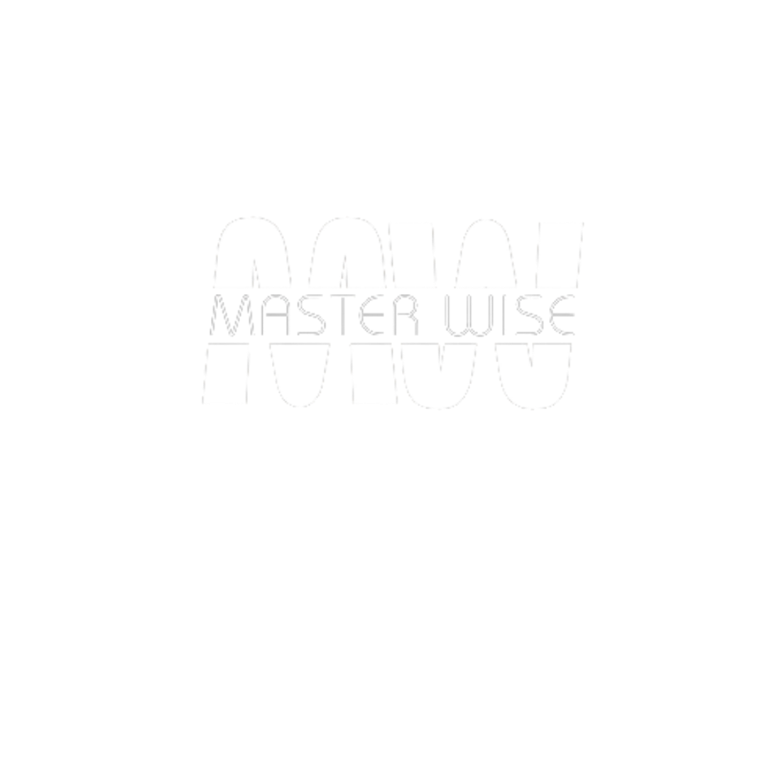 Master Wise Logo (1920 x 1080 像素)